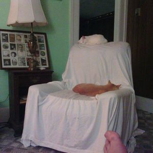 Meet your Posher, Bob